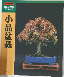 小品盆栽