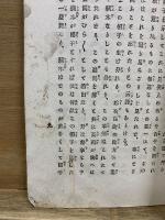探偵小説　拳銃自殺