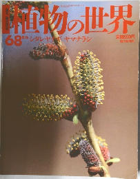 植物の世界　68　8/6号　シダレヤナギ　ヤマナラシ