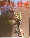 植物の世界　68　8/6号　シダレヤナギ　ヤマナラシ