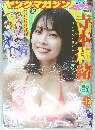ヤングマガジン　no.13