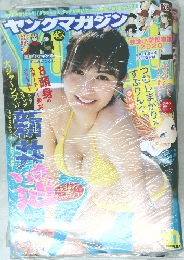 ヤングマガジン