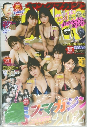 週刊ヤングマガジン　No.38
