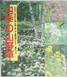 四季の山野草