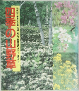 四季の山野草