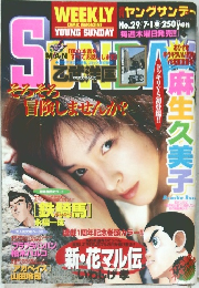 ヤングサンデー　No.29