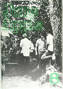June Apple 8