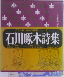 カラー版・日本の詩集  2 石川啄木詩集