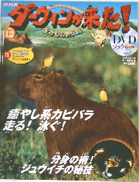 ダーウィンが来た!生きもの新伝説DVDブック　12号