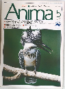 Anima　1990年5月号　No.212