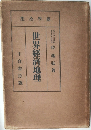 世界經濟地理