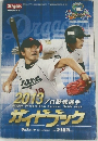 ガイドブック　2013プロ野球選手