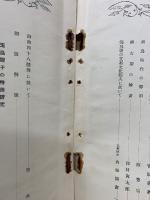 飛鳥藝術の研究   13冊　昭和4年6月