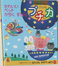 プチカ 1999/6