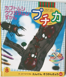 プチカ　1999　8