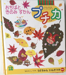 プチカ　1999　12