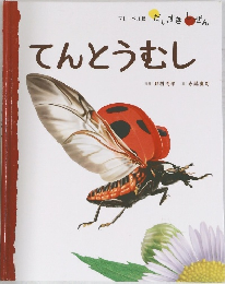 てんとうむし
