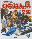 いちばん!の図鑑