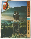 グラフィックカラー  日本の民話 5 関東Ⅱ千葉・東京・神奈川