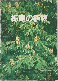 栃尾の植物