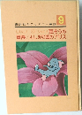 講談社のディズニー童話　9