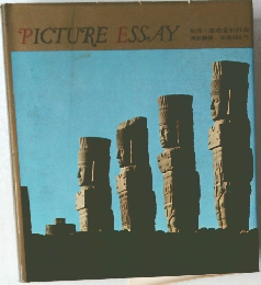 PICTURE ESSAY