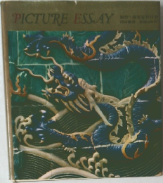 Picture Essay