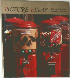 PICTURE ESSAY