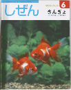 しぜん  キンダーブック  6  きんぎょ  