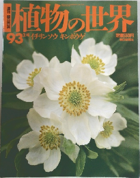 植物の世界　93