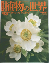 植物の世界　93