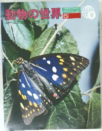 動物の世界  6