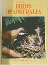 BIRDS OF AUSTRALIA