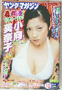 ヤングマガジン　2004年　No.15