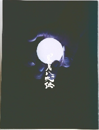 里見八犬伝