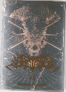 BASTARD!! ―暗黒の破壊神― 完全版 (Vol.2)