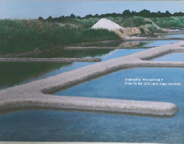 Intersection Arrangement 8 Fleur De Sel 2003 June. Kuge Yasuhide
