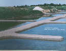 Intersection Arrangement 8 Fleur De Sel 2003 June. Kuge Yasuhide