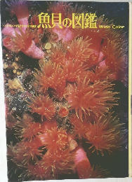 魚貝の図鑑