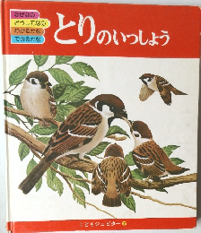 とりのいっしょう