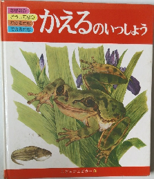 かえるのいっしょう