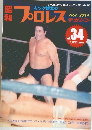 プロレスマガジン　2014年11月号　Vol.34