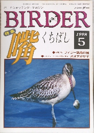 BIRDER　バーダー　1998年5月号