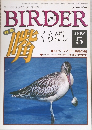 BIRDER　バーダー　1998年5月号