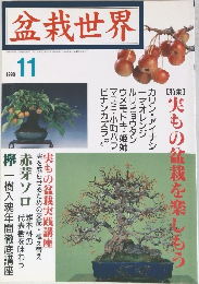 盆栽世界  1998年11月1日発行