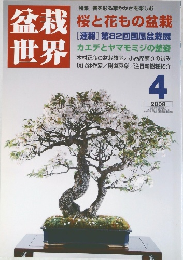 盆栽世界 2008年4月号