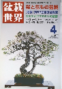 盆栽世界 2008年4月号