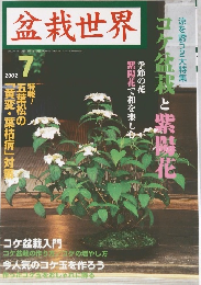 盆栽世界 2002年7月号