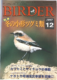 BIRDER 1997年12月号