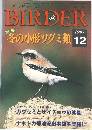 BIRDER 1997年12月号